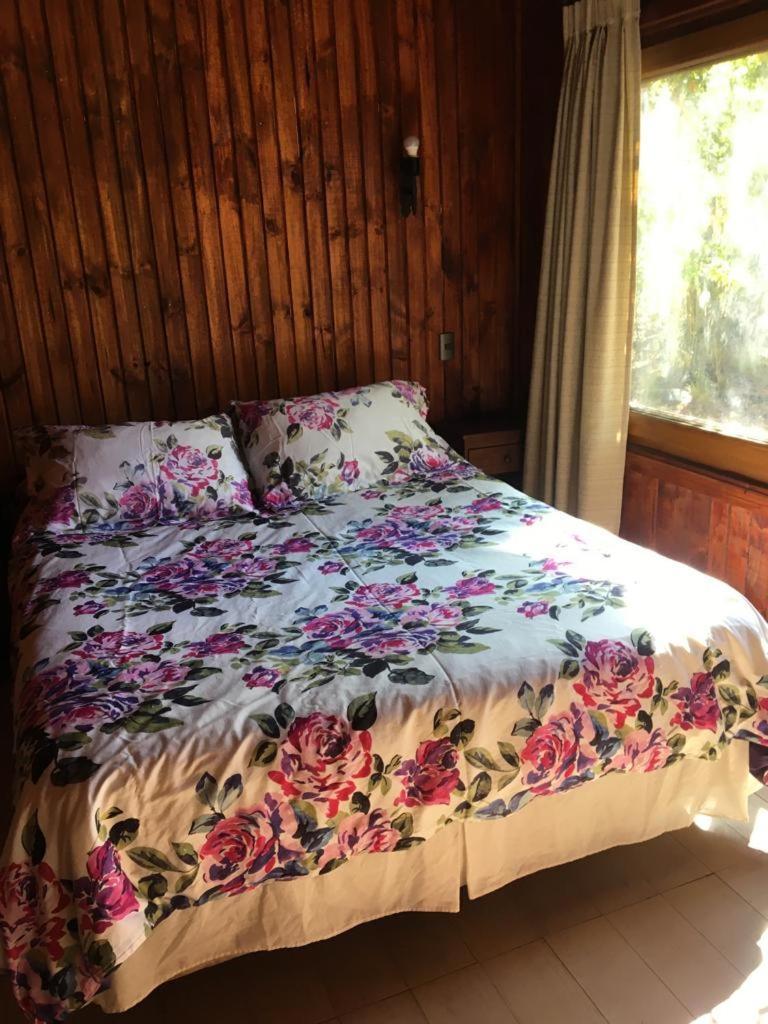 En Termas De Chillán Alojamento de Turismo Selvagem *